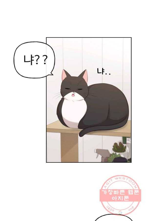 우리집 고양이는 베지테리언 사라진 고양이 88