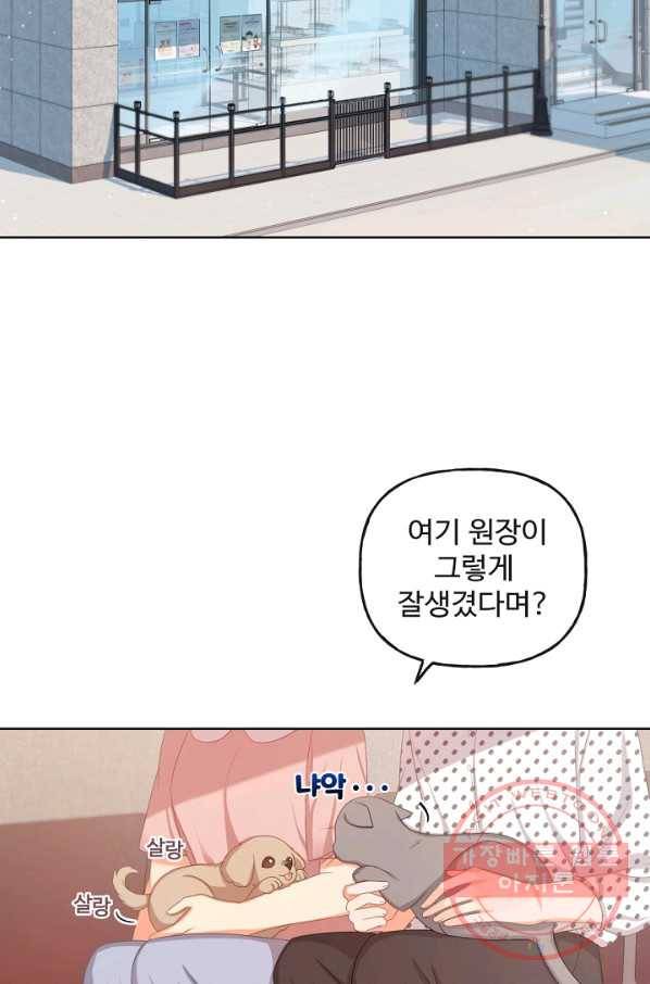 우리집 고양이는 베지테리언 사라진 고양이 93