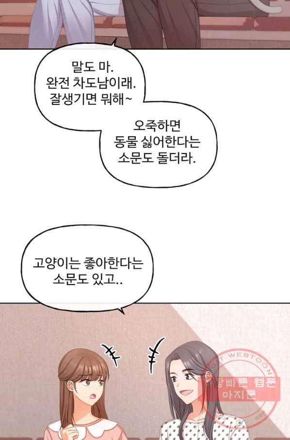 우리집 고양이는 베지테리언 사라진 고양이 94