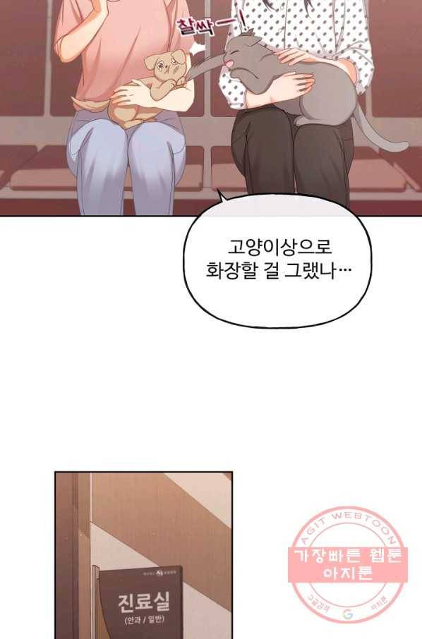 우리집 고양이는 베지테리언 사라진 고양이 95
