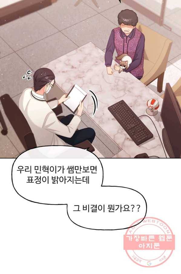 우리집 고양이는 베지테리언 사라진 고양이 100