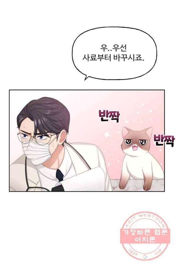 우리집 고양이는 베지테리언 사라진 고양이 101