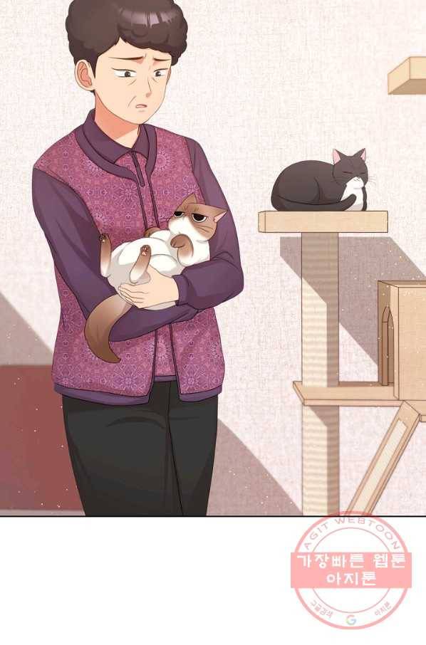 우리집 고양이는 베지테리언 사라진 고양이 103