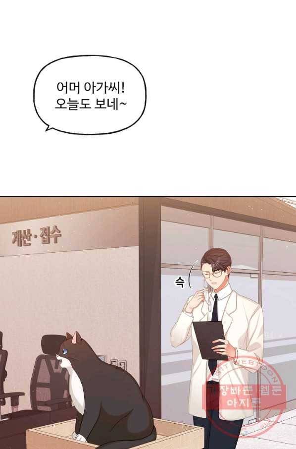 우리집 고양이는 베지테리언 사라진 고양이 106