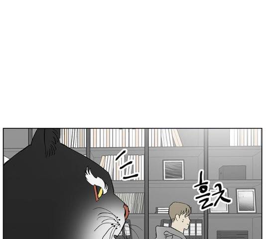백호랑 80화 11