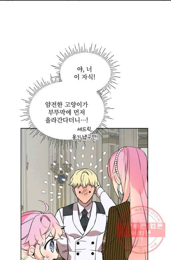 비선실세 레이디 12화 4