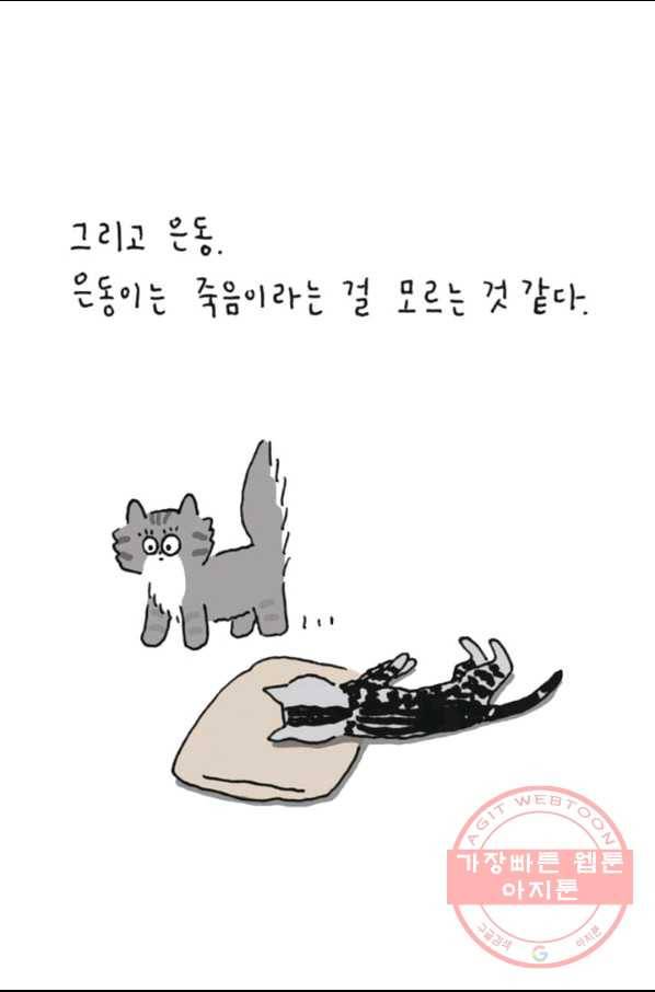 은동은동+옹동스 191화 장례 7