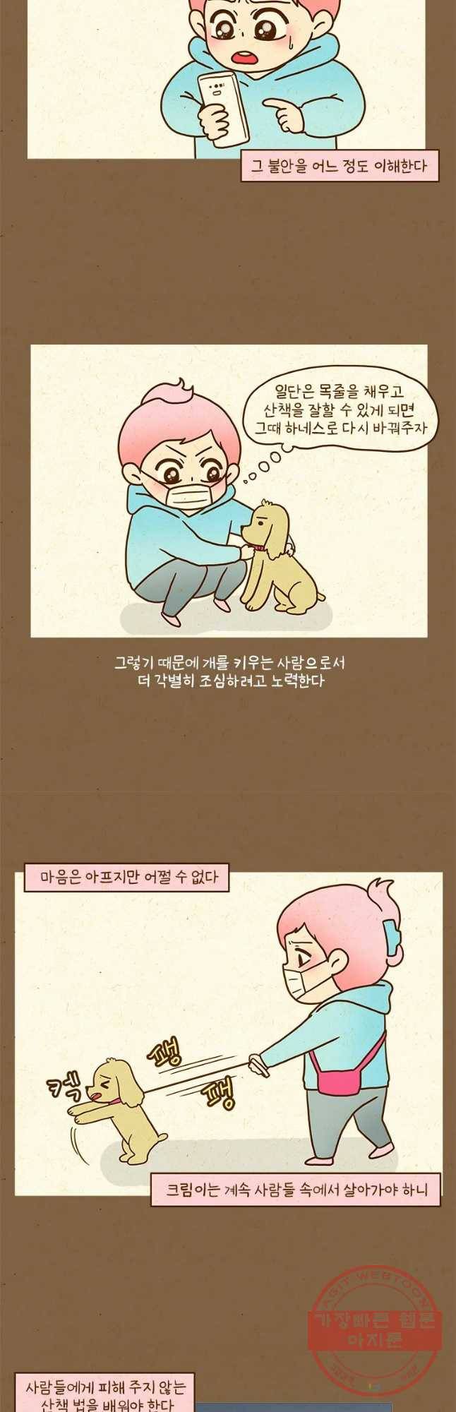 반지하셋방 246화 크림이와 산책 3