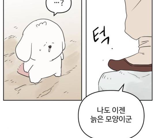 그 개, 만두 33화 11