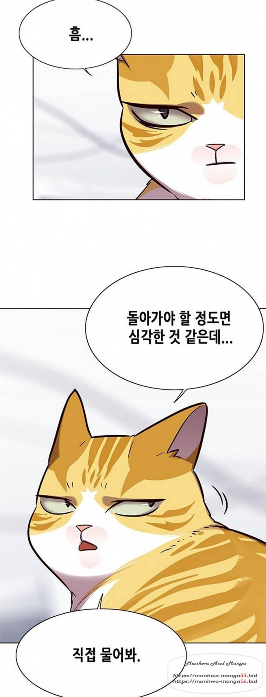 일렉시드 165화 23