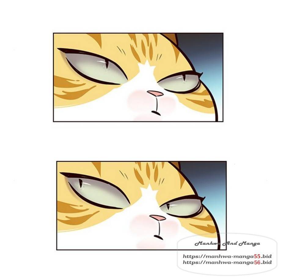 일렉시드 165화 69