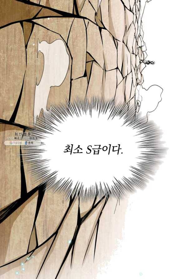 SSS급으로는 부족했다 96화 68