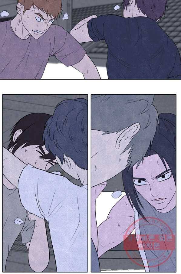 고교정점 251화 차기들의 발전 8