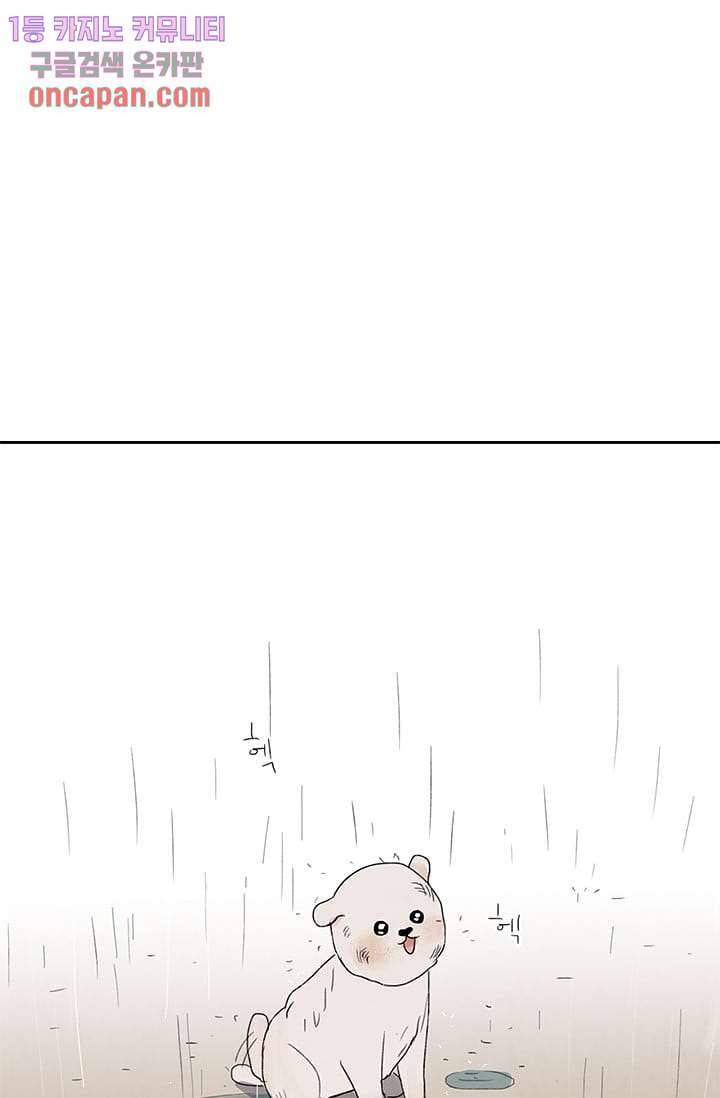 마이 러블리 투투 9화 1