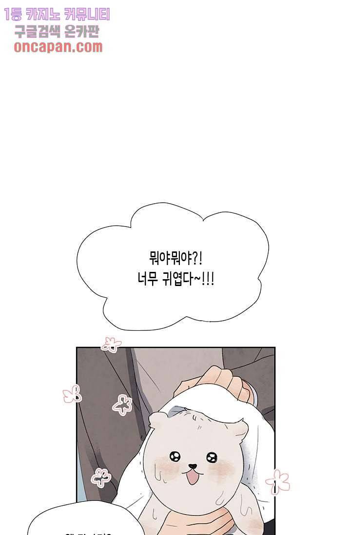 마이 러블리 투투 9화 8