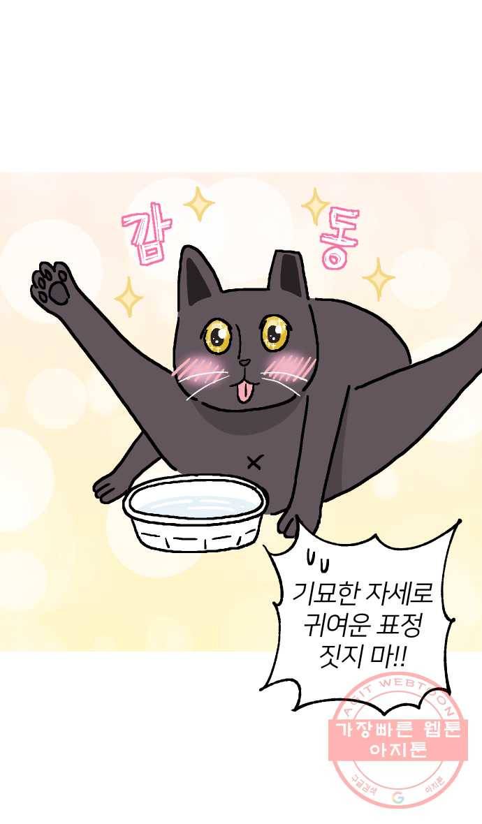 애옹식당 3화 뉴페이스?! 9