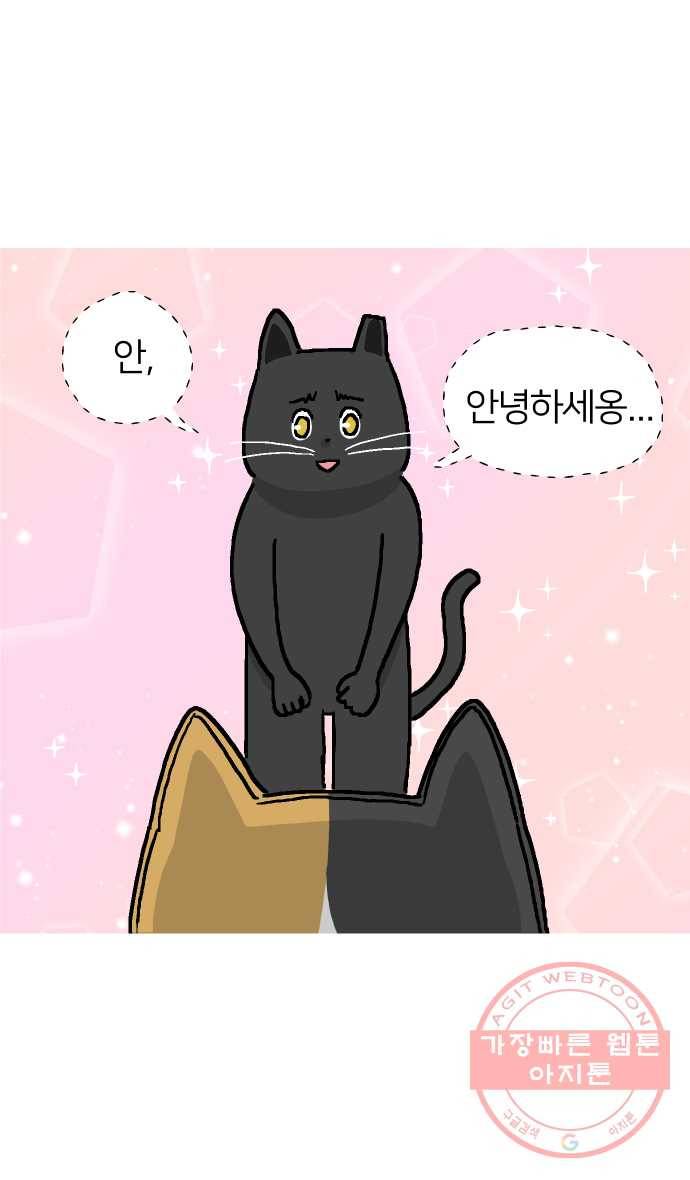 애옹식당 3화 뉴페이스?! 43