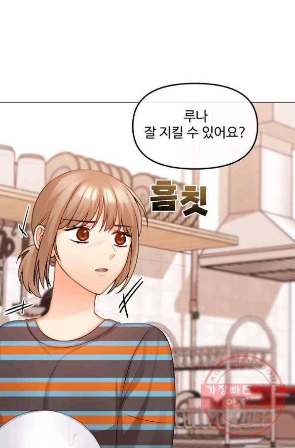 우리집 고양이는 베지테리언 고양이 보고 갈래요? 3