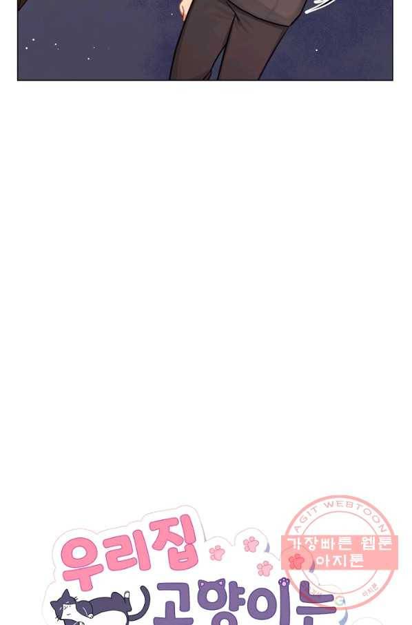 우리집 고양이는 베지테리언 고양이 보고 갈래요? 6