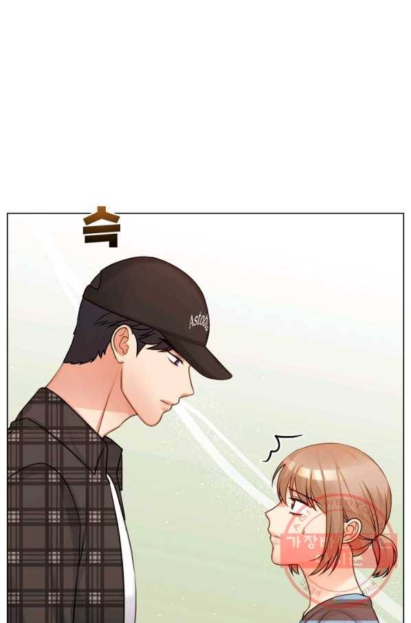 우리집 고양이는 베지테리언 고양이 보고 갈래요? 15