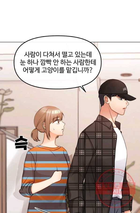 우리집 고양이는 베지테리언 고양이 보고 갈래요? 19