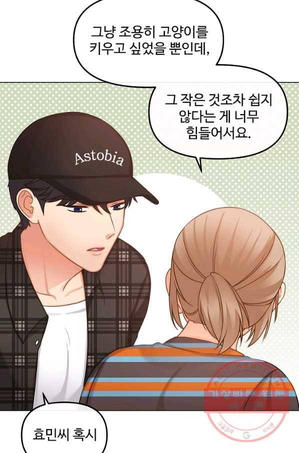 우리집 고양이는 베지테리언 고양이 보고 갈래요? 31