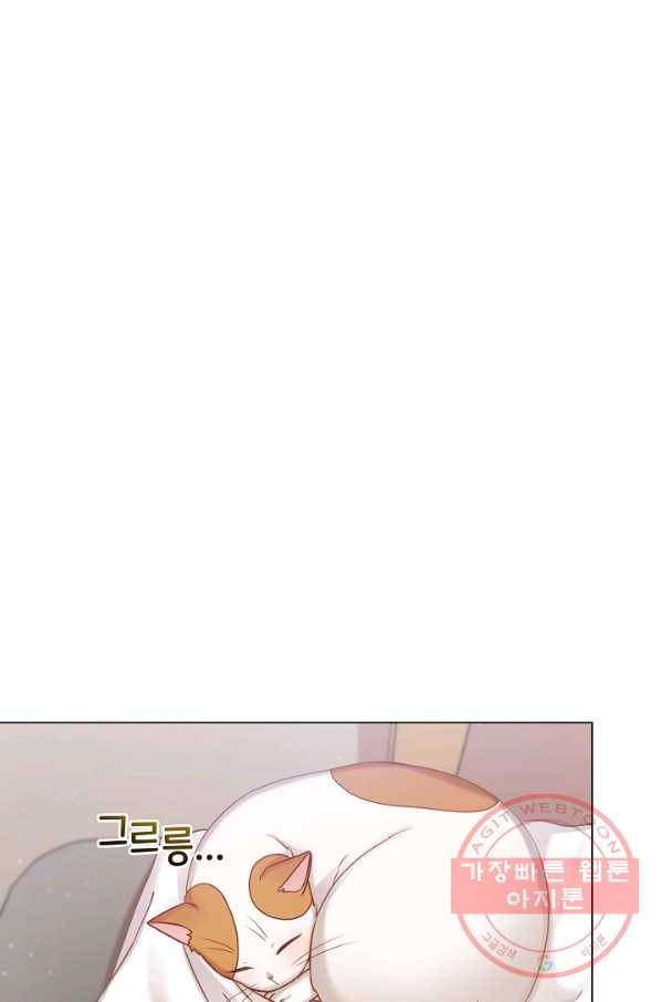 우리집 고양이는 베지테리언 고양이 보고 갈래요? 34