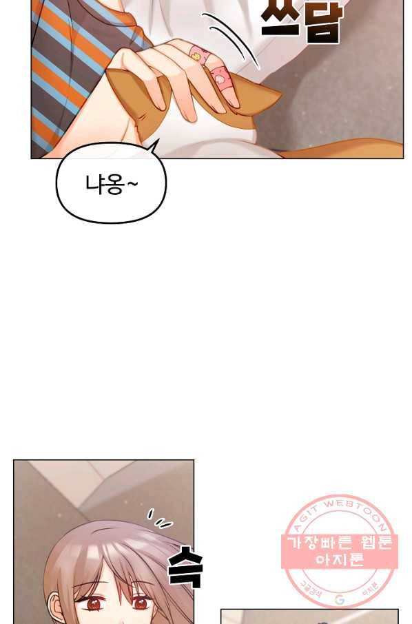 우리집 고양이는 베지테리언 고양이 보고 갈래요? 38