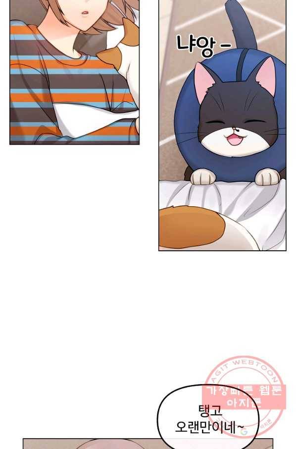 우리집 고양이는 베지테리언 고양이 보고 갈래요? 39