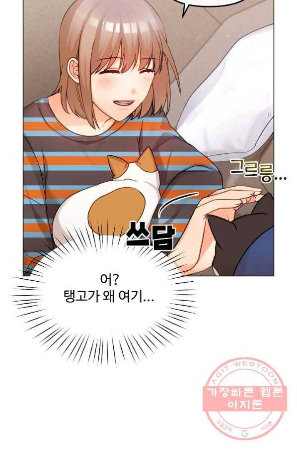 우리집 고양이는 베지테리언 고양이 보고 갈래요? 40