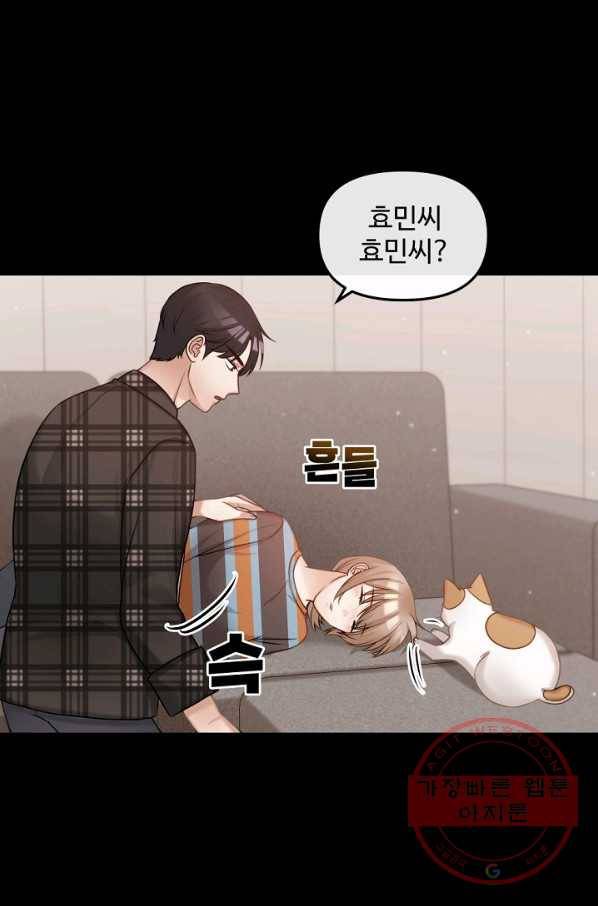 우리집 고양이는 베지테리언 고양이 보고 갈래요? 62