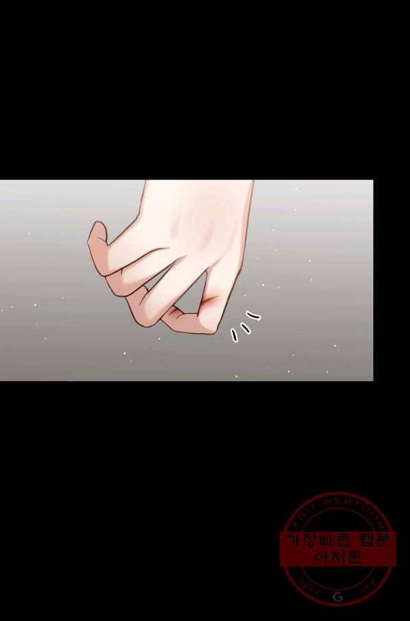 우리집 고양이는 베지테리언 고양이 보고 갈래요? 63