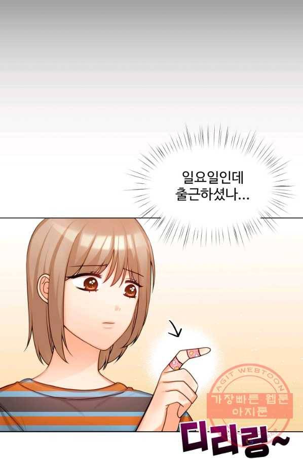 우리집 고양이는 베지테리언 고양이 보고 갈래요? 68