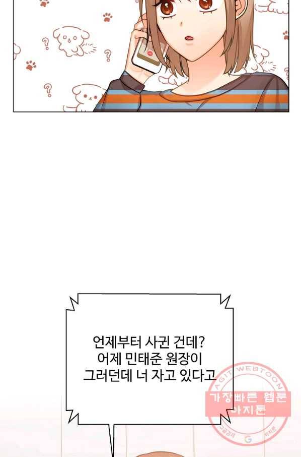 우리집 고양이는 베지테리언 고양이 보고 갈래요? 71