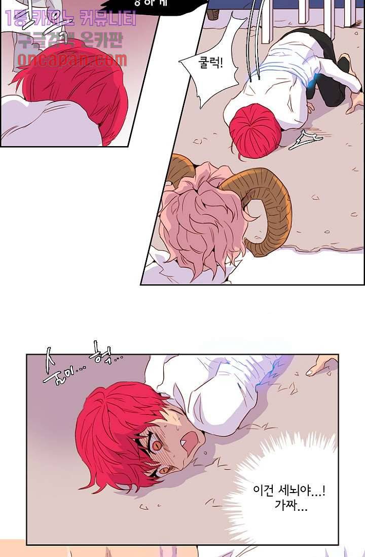 신시 20화 16