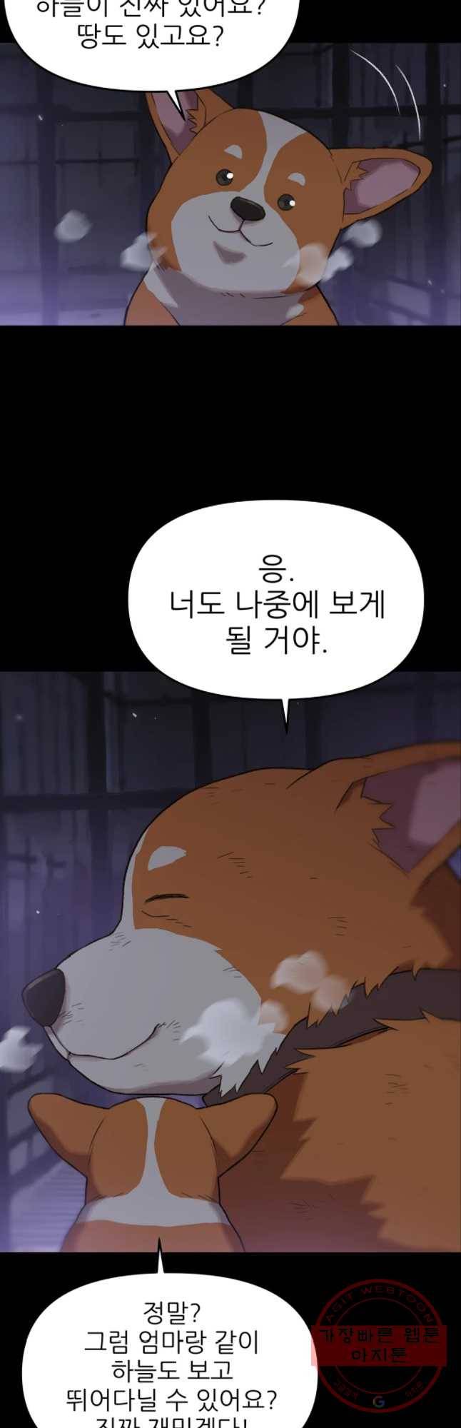무지개다리 파수꾼 46화 5