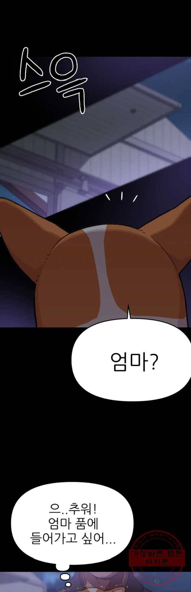 무지개다리 파수꾼 46화 12