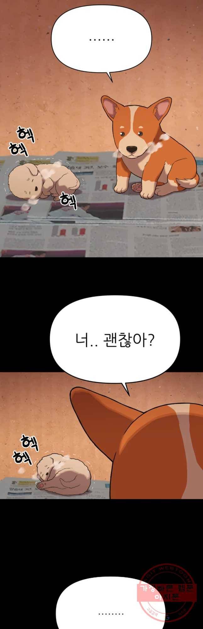 무지개다리 파수꾼 46화 29