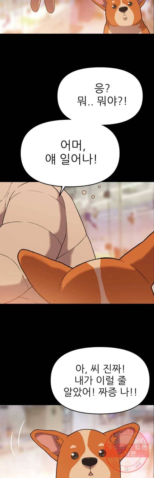 무지개다리 파수꾼 46화 33