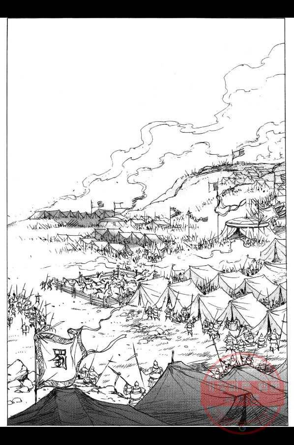 박봉성 삼국지 3부 2권 41