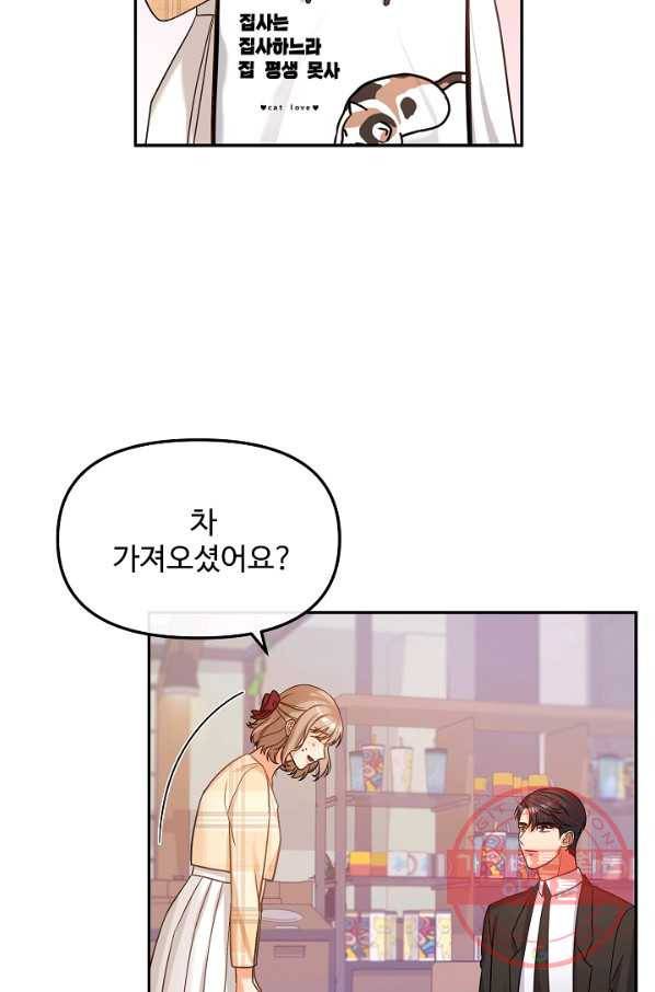 우리집 고양이는 베지테리언 솔직히 채식 신경 쓰여요 3