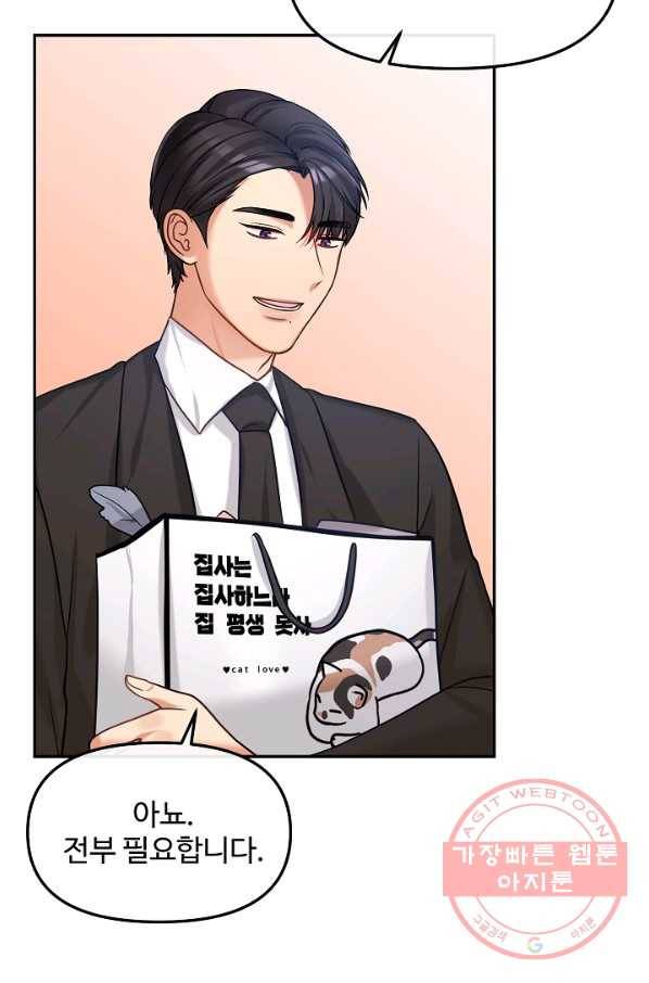 우리집 고양이는 베지테리언 솔직히 채식 신경 쓰여요 8