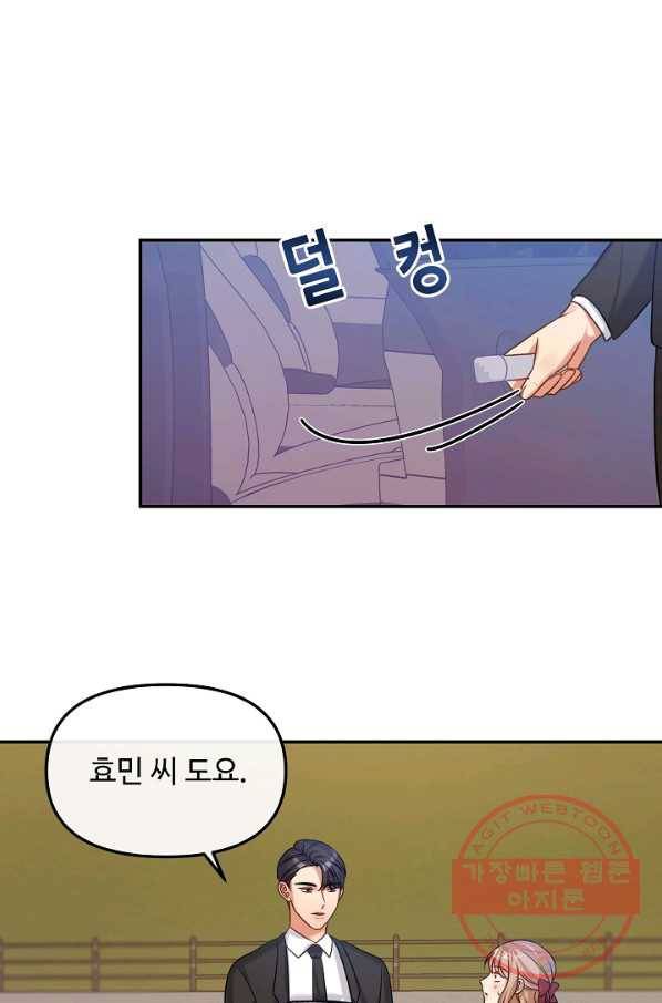 우리집 고양이는 베지테리언 솔직히 채식 신경 쓰여요 9