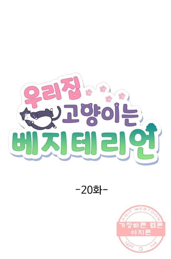 우리집 고양이는 베지테리언 솔직히 채식 신경 쓰여요 11