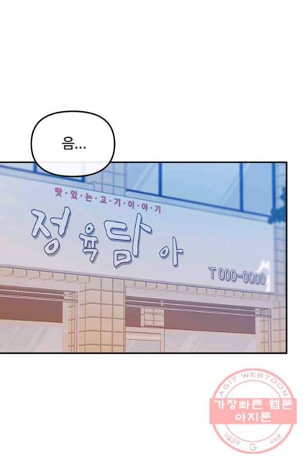 우리집 고양이는 베지테리언 솔직히 채식 신경 쓰여요 12