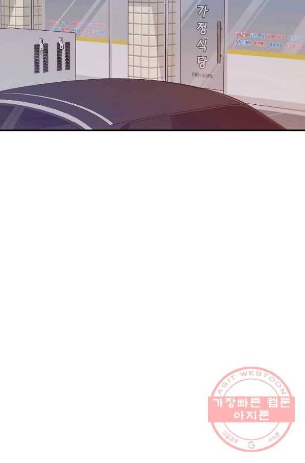 우리집 고양이는 베지테리언 솔직히 채식 신경 쓰여요 15