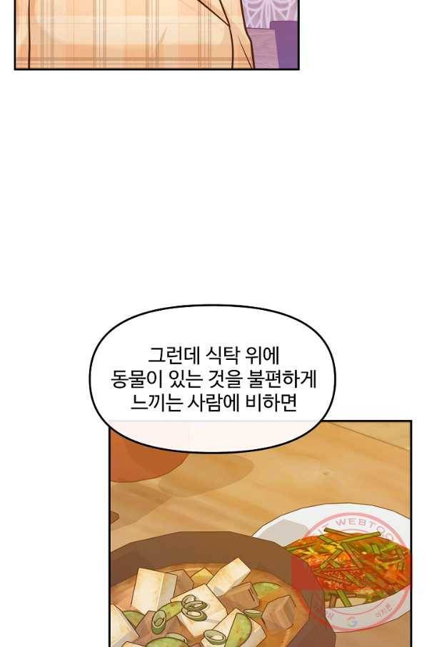 우리집 고양이는 베지테리언 솔직히 채식 신경 쓰여요 31