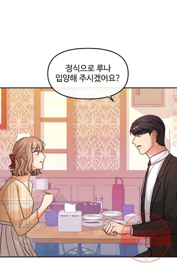 우리집 고양이는 베지테리언 솔직히 채식 신경 쓰여요 36