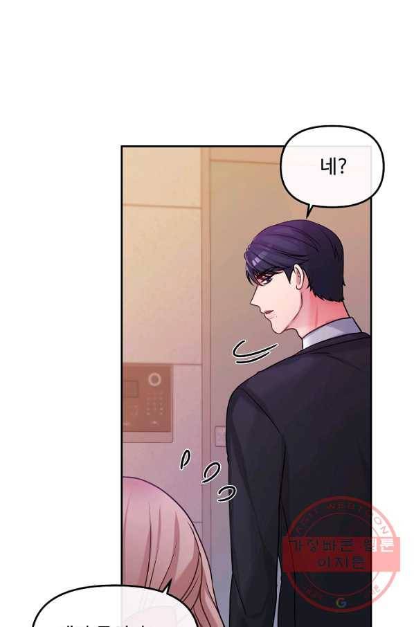 우리집 고양이는 베지테리언 솔직히 채식 신경 쓰여요 40
