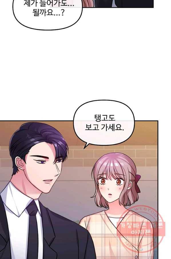 우리집 고양이는 베지테리언 솔직히 채식 신경 쓰여요 41